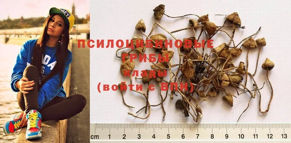 ALPHA PVP Богданович