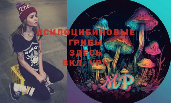 ALPHA PVP Богданович