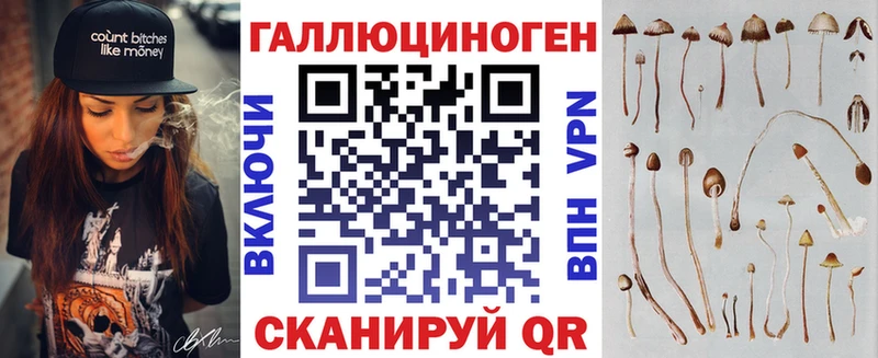 Псилоцибиновые грибы Psilocybine cubensis  купить наркоту  Якутск 